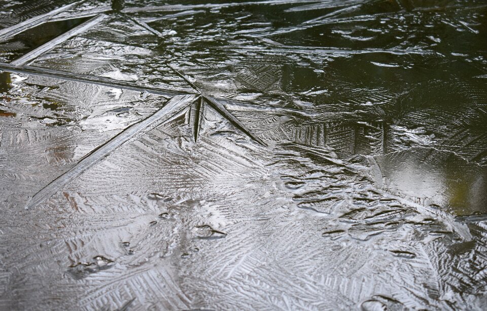 Winter nature water