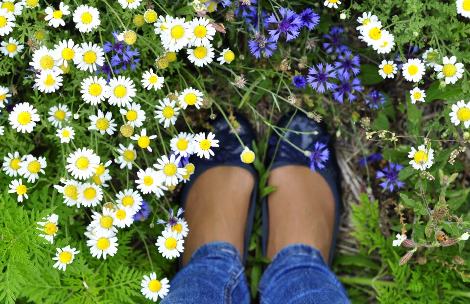 Shoe field nature