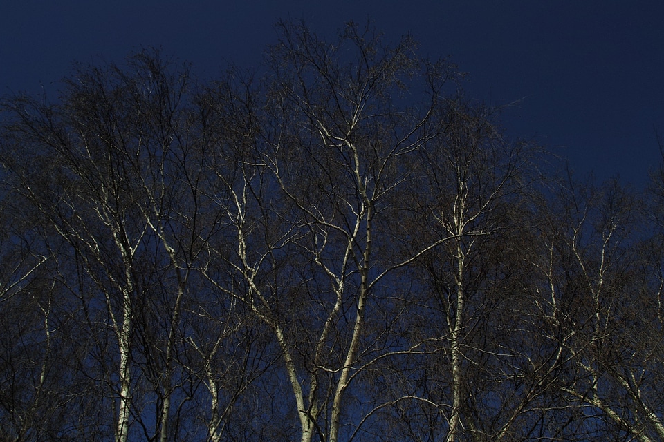 Sky blue landscape