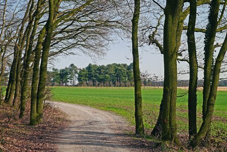 North rhine westphalia germany outlook photo