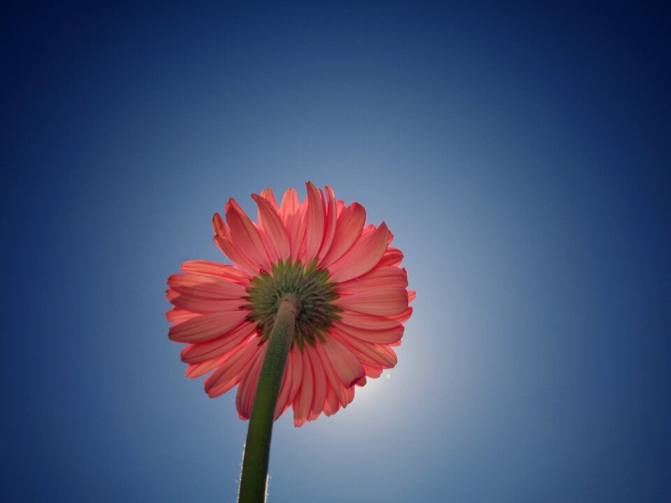 Blue nature background