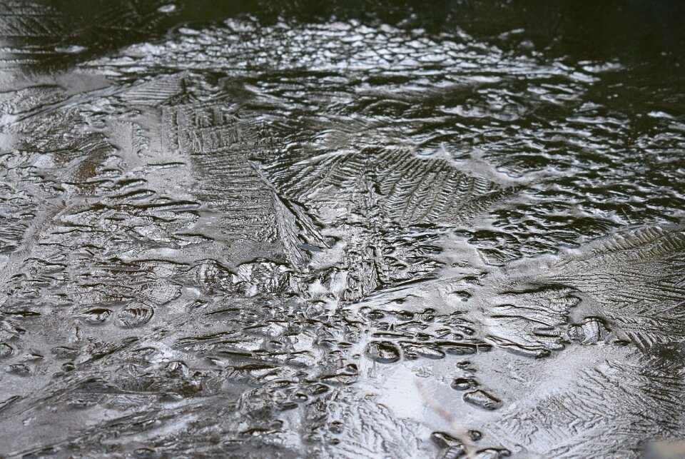 Winter nature water