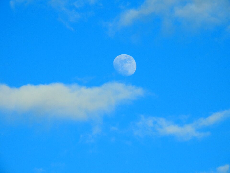 Tagmond day blue