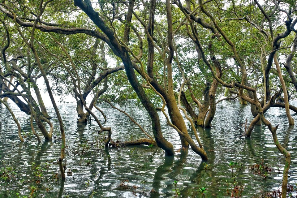 Environment natural scenic