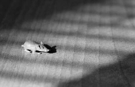 Toy light shadow