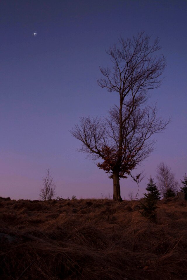 Abendstimmung beautiful blue hour