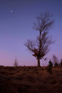 Abendstimmung beautiful blue hour