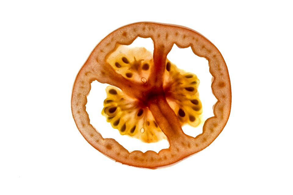 Tomato red cross section