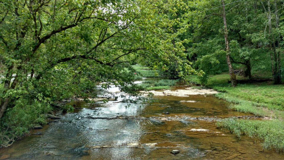 Landscape river nature photo