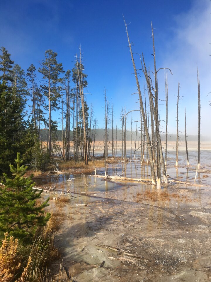 Wyoming nature usa