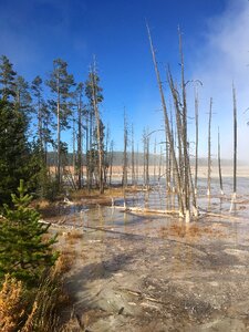 Wyoming nature usa