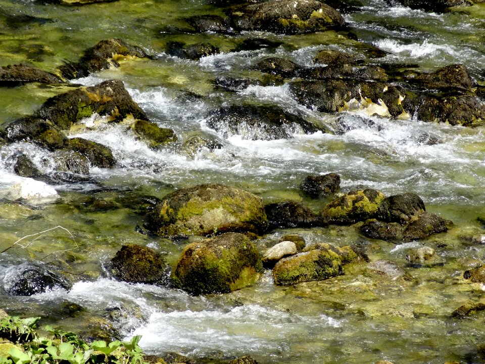 Nature flow green