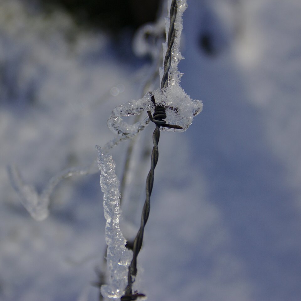 Hoarfrost fence frozen