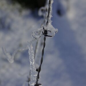 Hoarfrost fence frozen photo