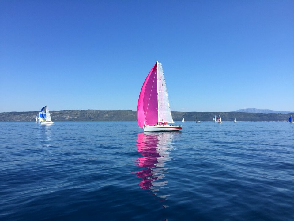 Nature summer sailing