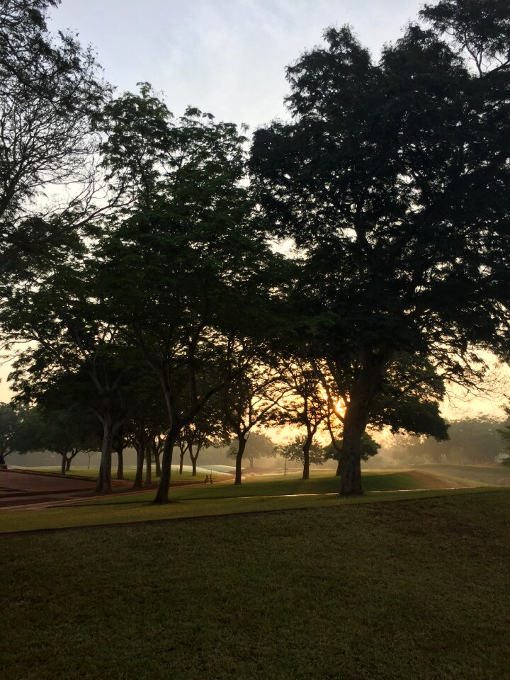 Sunrise india auroville