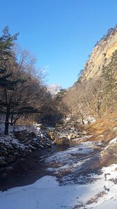 Travel snow mountain gangwon do photo