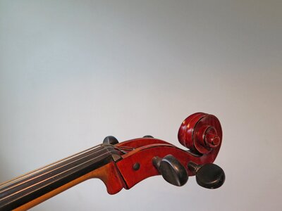 Eddy mood stringed instrument photo