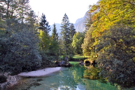 Bohinj background green