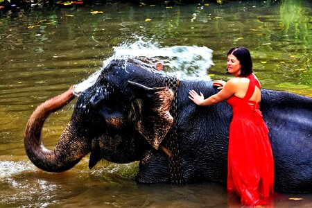 Elephant woman squirt photo