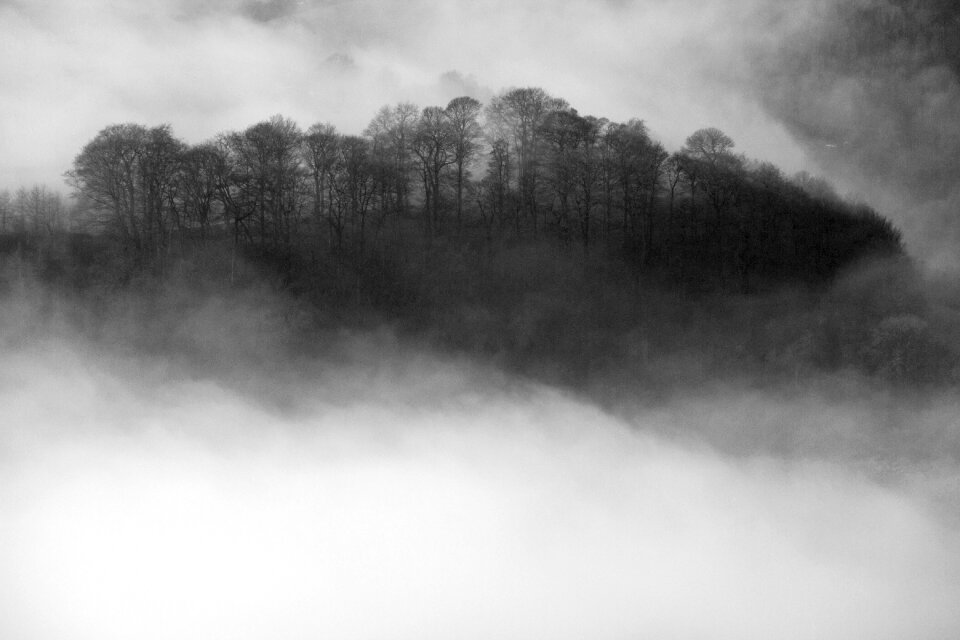 Landscape forest hill