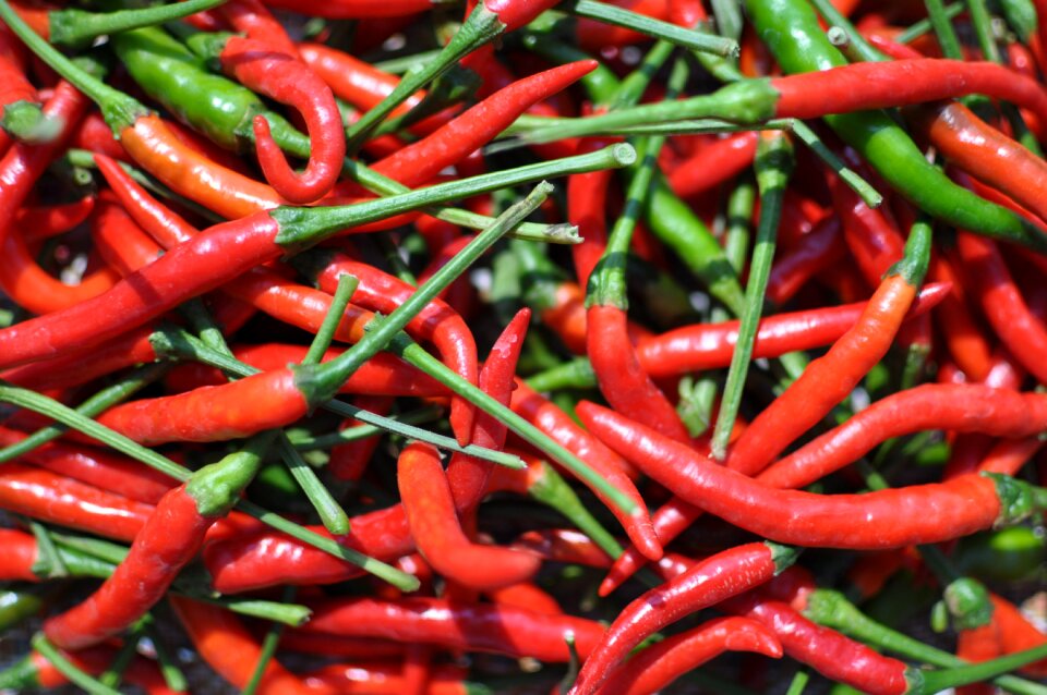 Food vegetable red