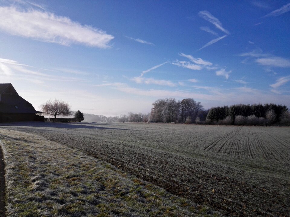 Blue sky field trees