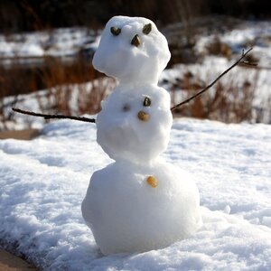 Cold frosty season