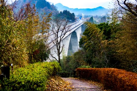 Morning fog myth asagiri bridge