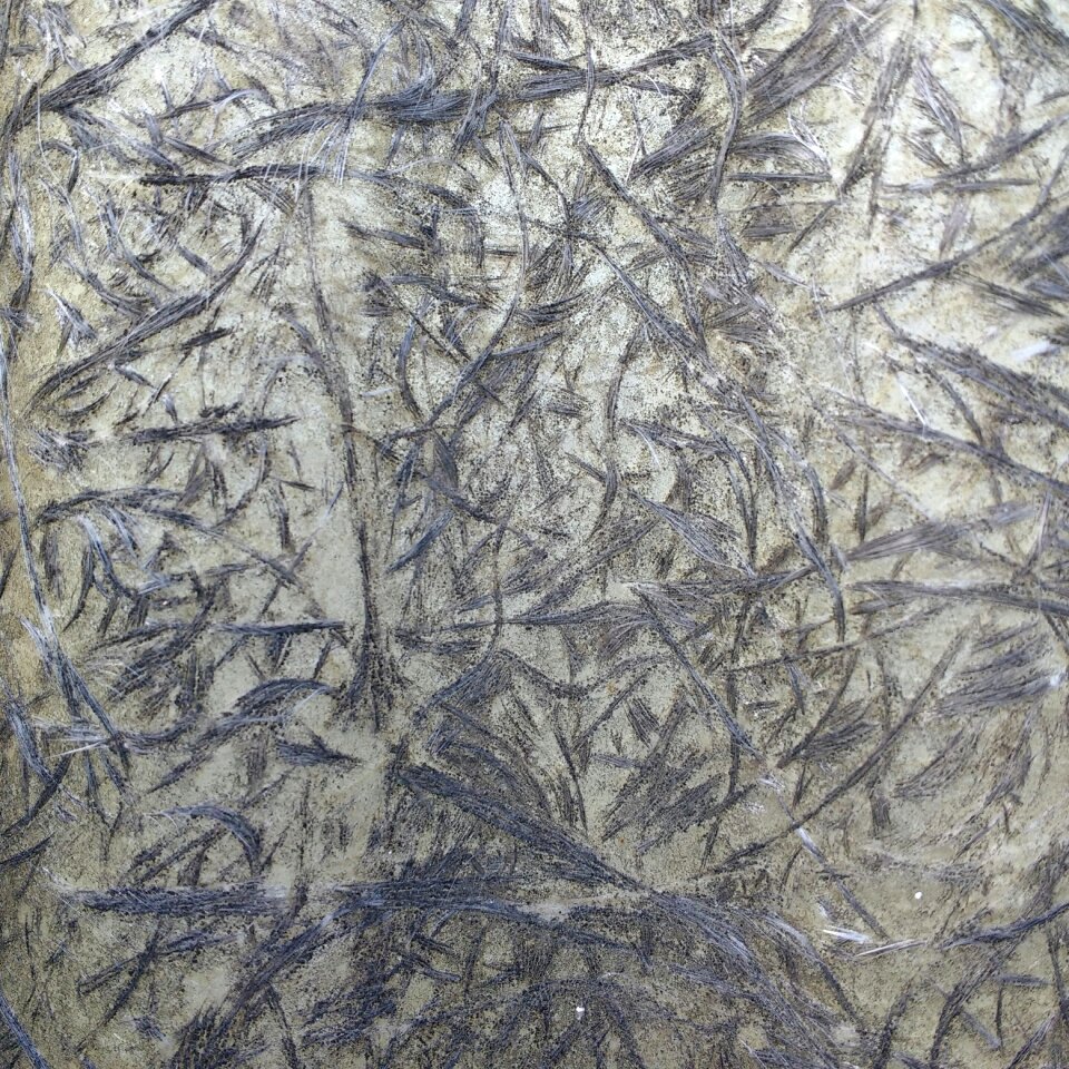 Plastic fibers composite
