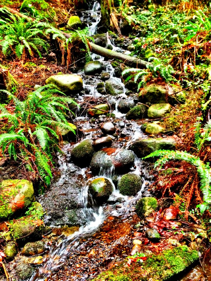 Rocks water