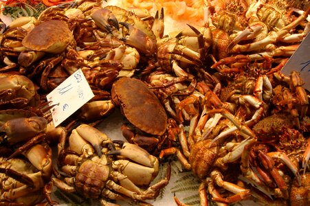 Food market bokeria