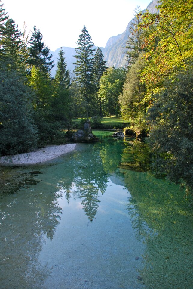 Nature background green