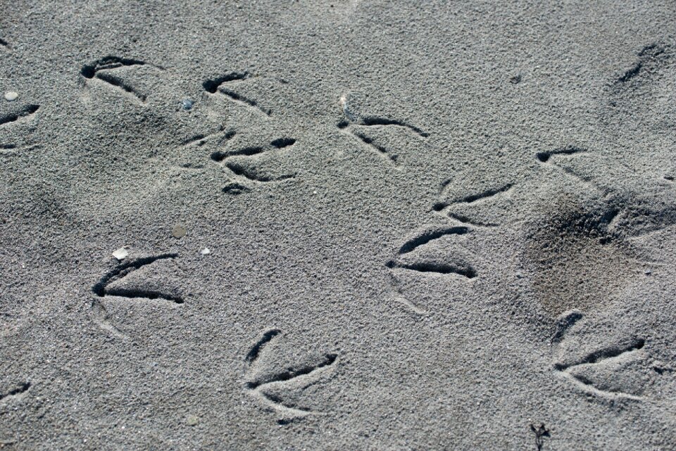 Sand reprint helgoland