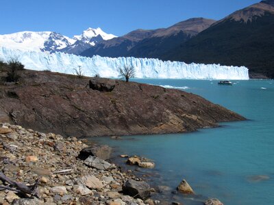 Calafate argentina patagonia photo