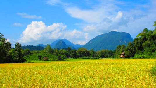Nature farm landscape
