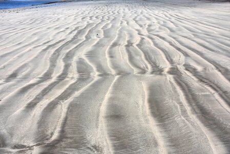 Beach the coast of alagoas sand