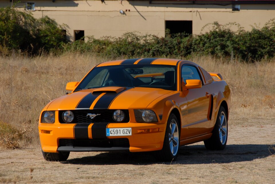 Car mustang vehicle