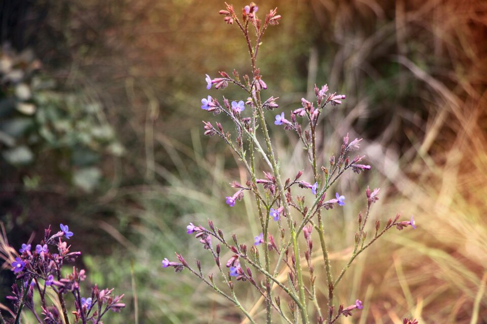 Nature color seasonal