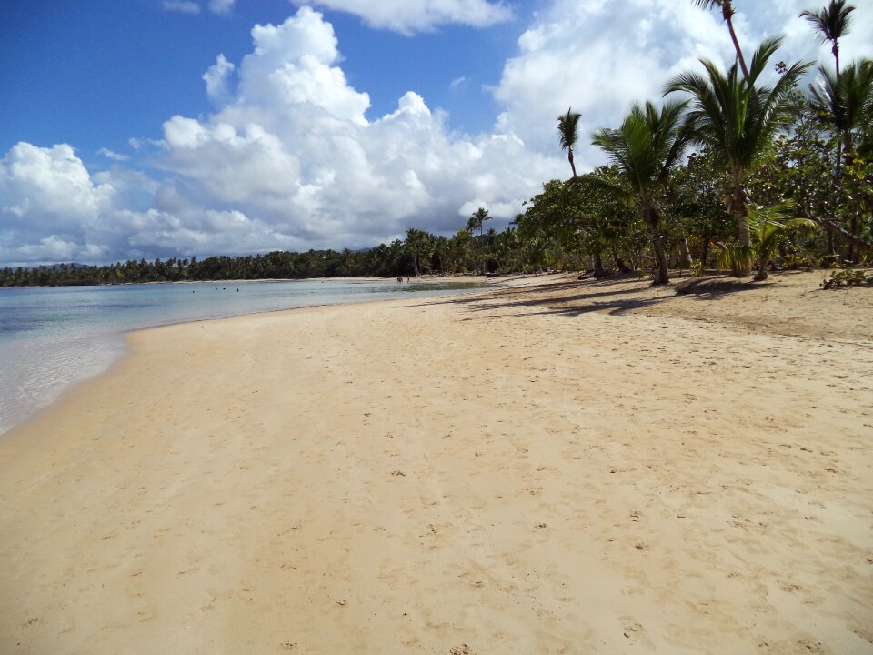 Dominican republic sand beach beach