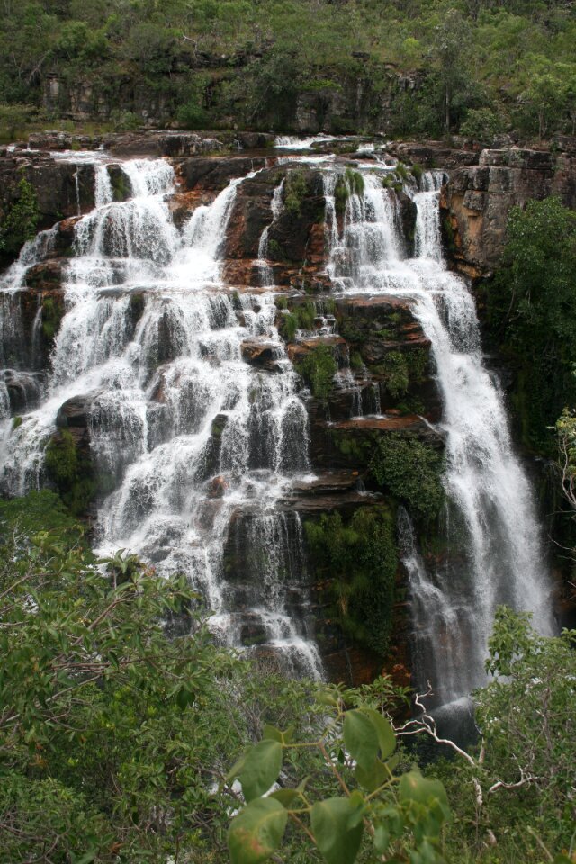 Nature brazil wild nature