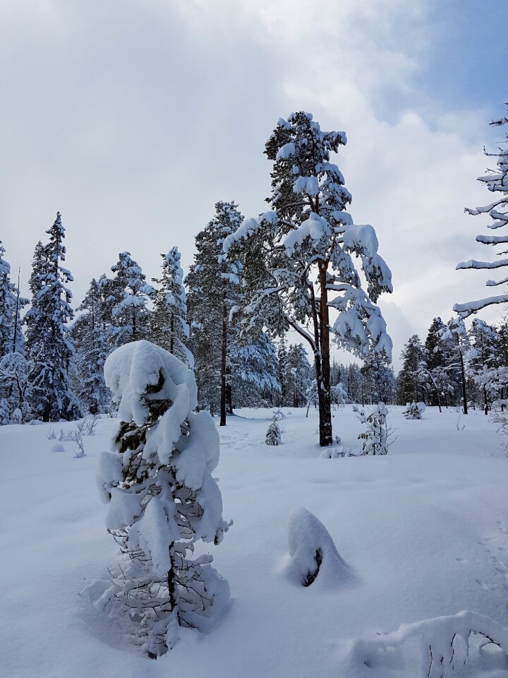 Norway scandinavia snow