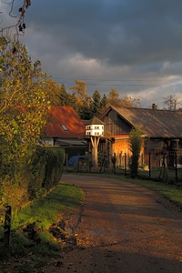 Bird feeding hut scheuer