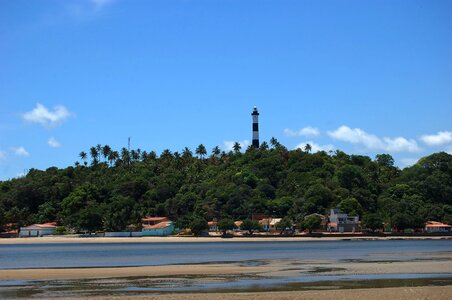 The coast of alagoas mar beach