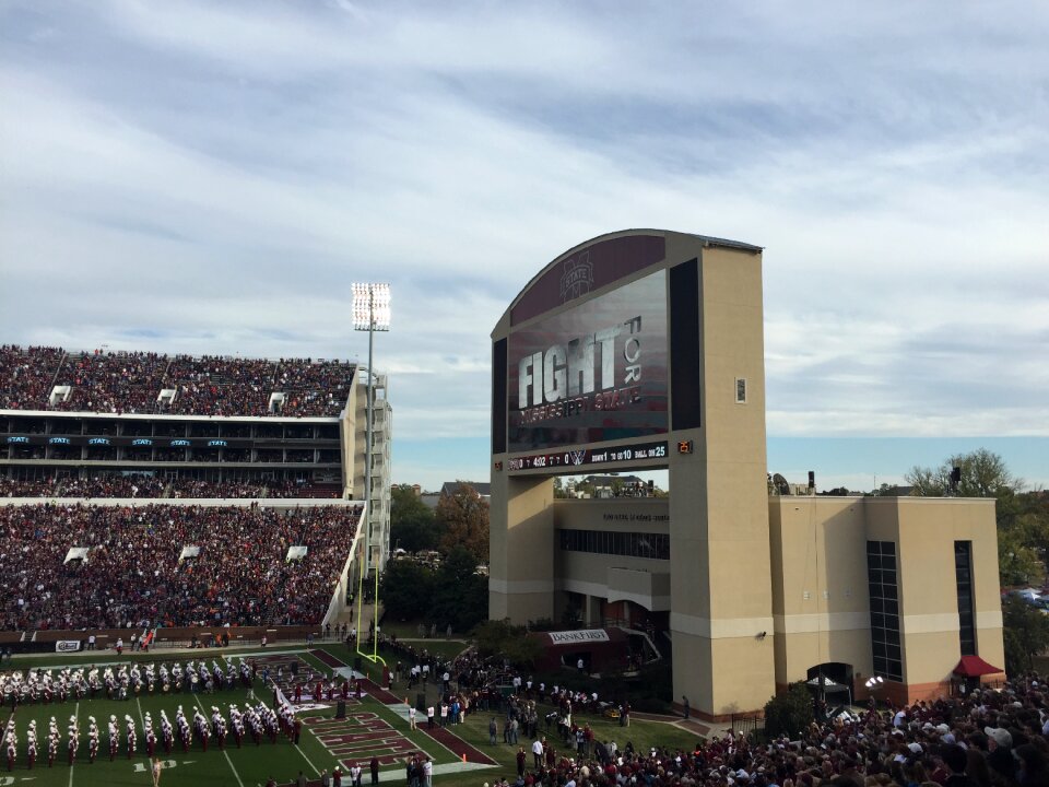 University football bulldogs