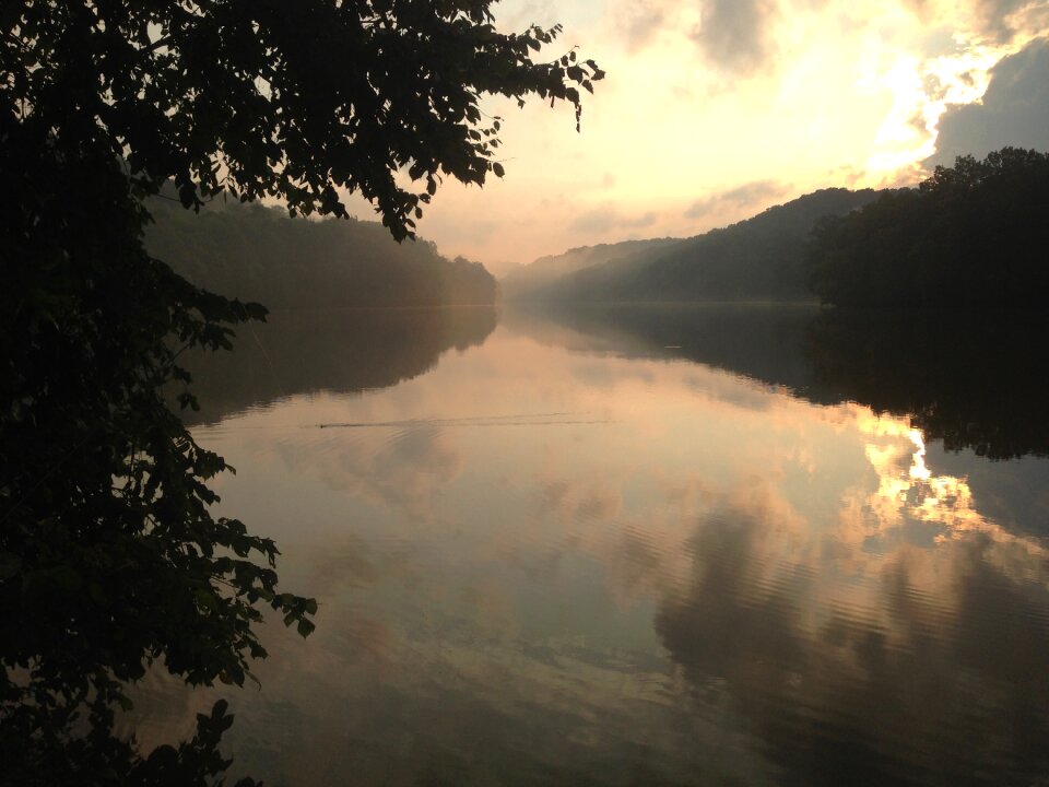 Tree sun reflection