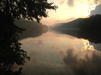 Tree sun reflection photo