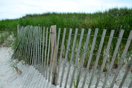 Fence shore summer photo