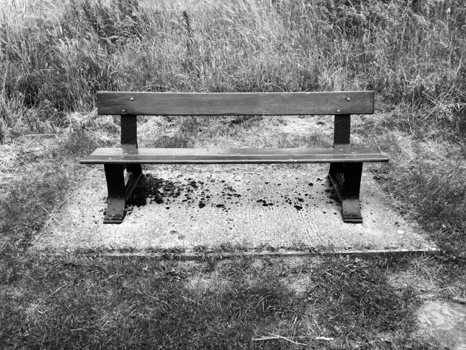 Dark nature park