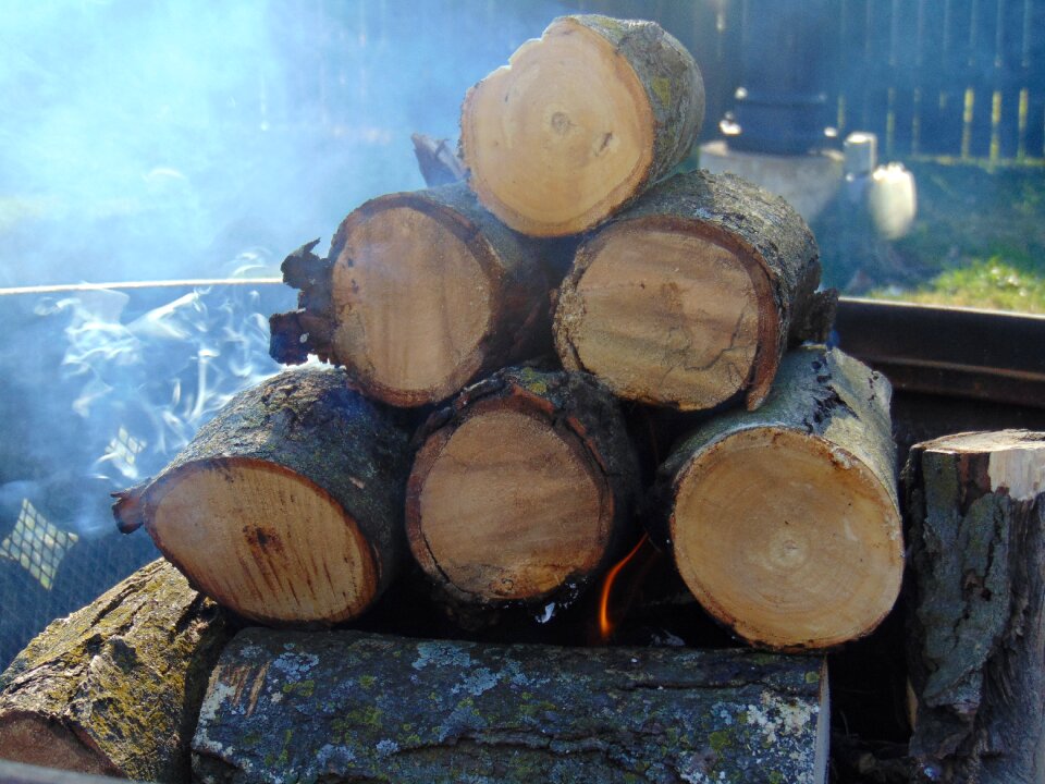 Logs wood stacked